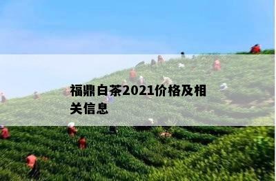 福鼎白茶2021价格及相关信息