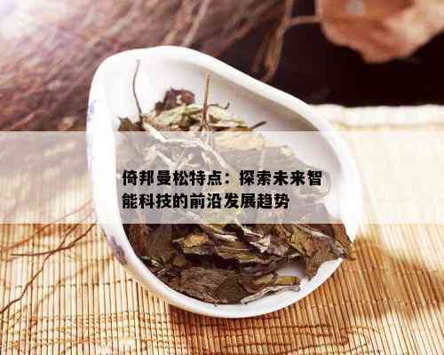 倚邦曼松特点：探索未来智能科技的前沿发展趋势