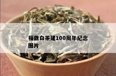 福鼎白茶建100周年纪念图片