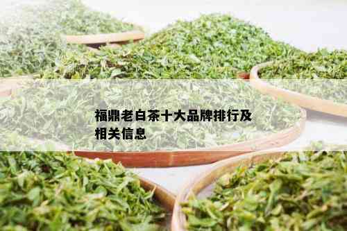 福鼎老白茶十大品牌排行及相关信息