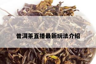 普洱茶直播最新玩法介绍