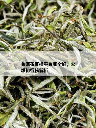 普洱茶直播平台哪个好，火爆排行榜解析