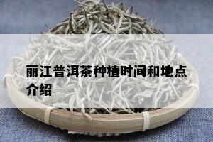 丽江普洱茶种植时间和地点介绍