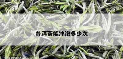 普洱茶能冲泡多少次