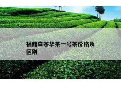 福鼎白茶华茶一号茶价格及区别