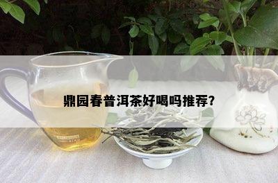 鼎园春普洱茶好喝吗推荐？