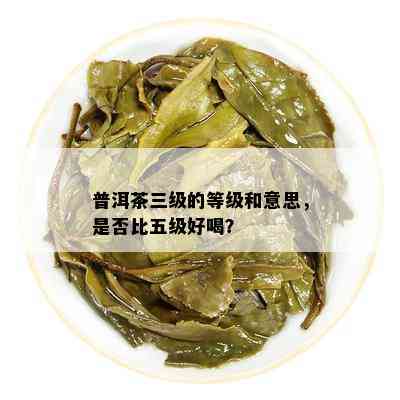 普洱茶三级的等级和意思，是否比五级好喝？