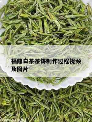 福鼎白茶茶饼制作过程视频及图片