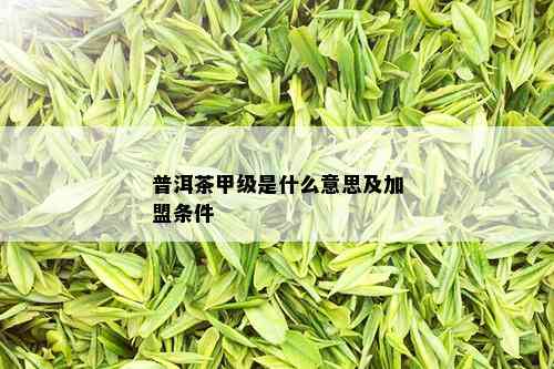 普洱茶甲级是什么意思及加盟条件