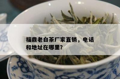 福鼎老白茶厂家直销，电话和地址在哪里？