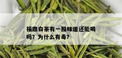 福鼎白茶有一股味道还能喝吗？为什么有？