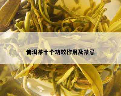 普洱茶十个功效作用及禁忌