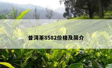 普洱茶8582价格及简介