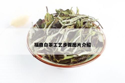 福鼎白茶工艺步骤图片介绍