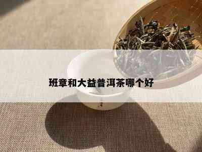 班章和大益普洱茶哪个好