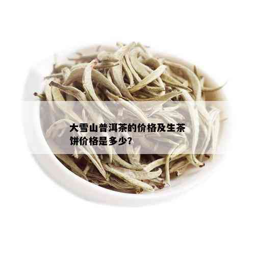 大雪山普洱茶的价格及生茶饼价格是多少？