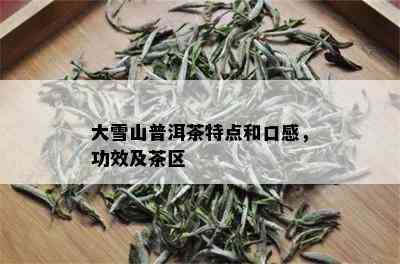 大雪山普洱茶特点和口感，功效及茶区