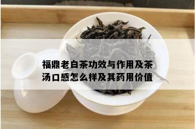 福鼎老白茶功效与作用及茶汤口感怎么样及其药用价值