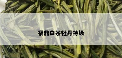 福鼎白茶牡丹特级