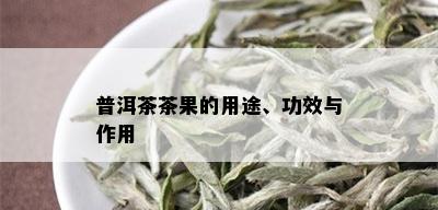 普洱茶茶果的用途、功效与作用