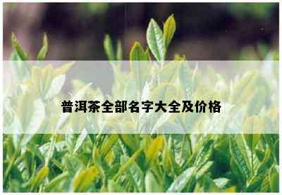 普洱茶全部名字大全及价格