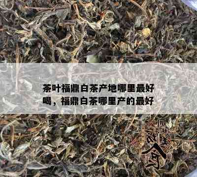 茶叶福鼎白茶产地哪里更好喝，福鼎白茶哪里产的更好