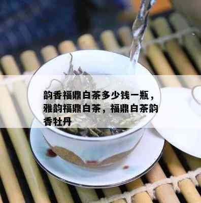 韵香福鼎白茶多少钱一瓶，雅韵福鼎白茶，福鼎白茶韵香牡丹