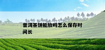 普洱茶饼能放吗怎么保存时间长