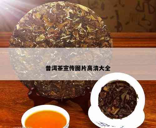 普洱茶宣传图片高清大全