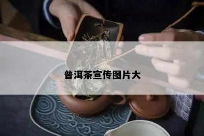 普洱茶宣传图片大