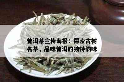 普洱茶宣传海报：探索古树名茶，品味普洱的独特韵味