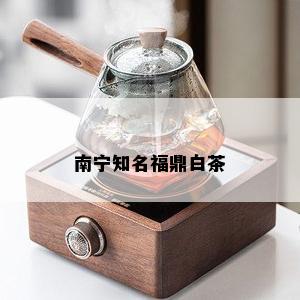 南宁知名福鼎白茶