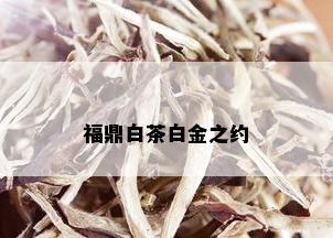 福鼎白茶白金之约