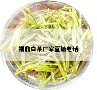 福鼎白茶厂家直销电话