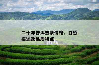 二十年普洱熟茶价格、口感描述及品质特点