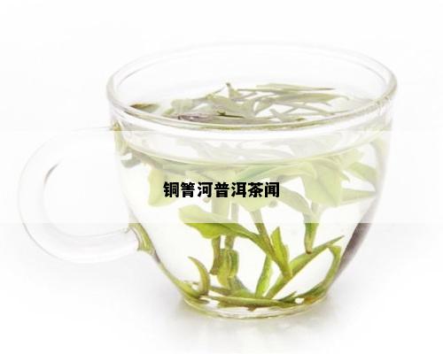 铜箐河普洱茶闻