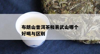 布朗山普洱茶和易武山哪个好喝与区别