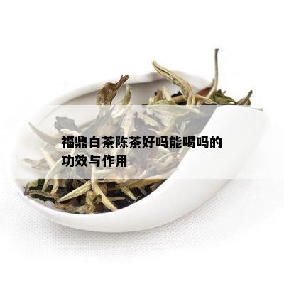 福鼎白茶陈茶好吗能喝吗的功效与作用