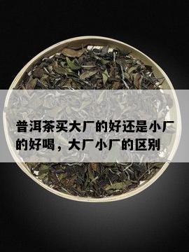 普洱茶买大厂的好还是小厂的好喝，大厂小厂的区别