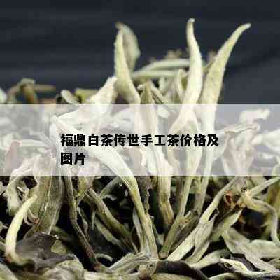 福鼎白茶传世手工茶价格及图片