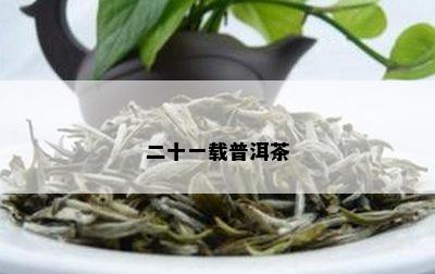 二十一载普洱茶