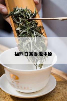 福鼎白茶香溢中原