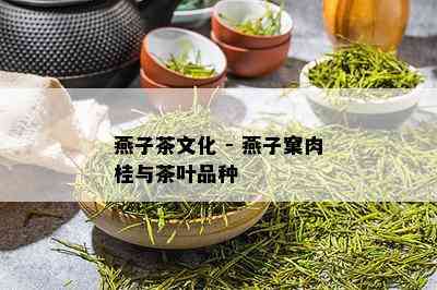 燕子茶文化 - 燕子窠肉桂与茶叶品种