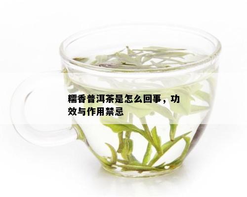 糯香普洱茶是怎么回事，功效与作用禁忌