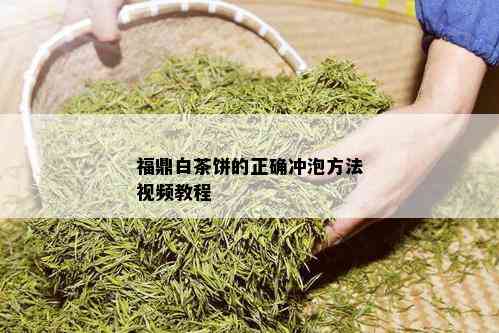 福鼎白茶饼的正确冲泡方法视频教程