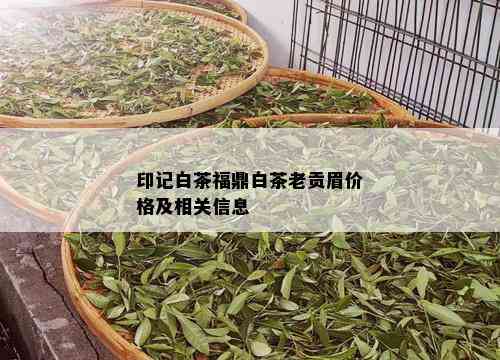 印记白茶福鼎白茶老贡眉价格及相关信息