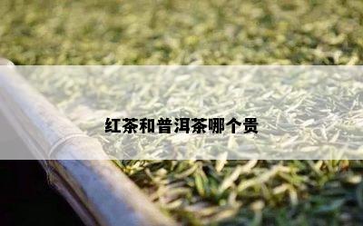 红茶和普洱茶哪个贵