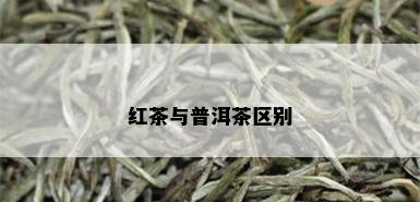 红茶与普洱茶区别