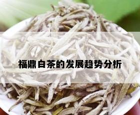 福鼎白茶的发展趋势分析