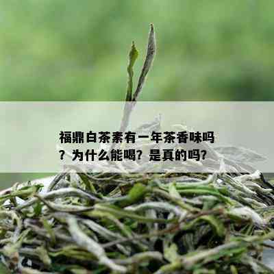 福鼎白茶素有一年茶香味吗？为什么能喝？是真的吗？